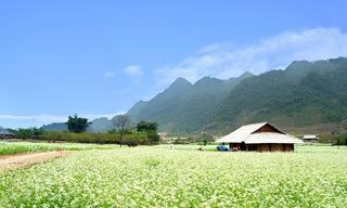 Tự Cảm