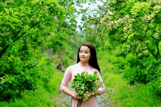 [ẢNH] Tháng Ba, hoa bưởi...