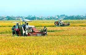 Dự kiến mở rộng địa bàn bảo hiểm nông nghiệp