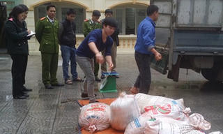 Gần một tấn nội tạng động vật thối trên đường vào quán ăn