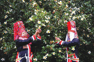 Bình Liêu mùa hoa sở