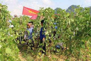 “Phá lệ” để giúp dân thoát nghèo