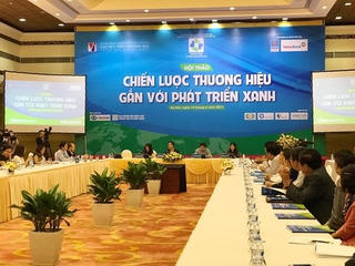 Chiến lược xanh: Vũ khí mềm phát triển bền vững