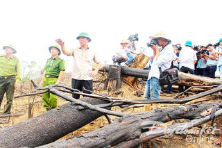 Vụ phá rừng phòng hộ Tiên Lãnh: Cần làm rõ ai đứng sau ông Phùng Văn Bảy!