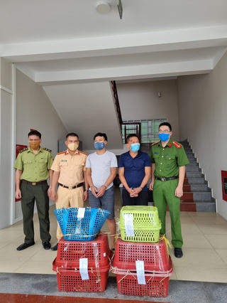 Tóm gọn 2 đối tượng vận chuyển 7 cá thể hổ trên xe ô tô con