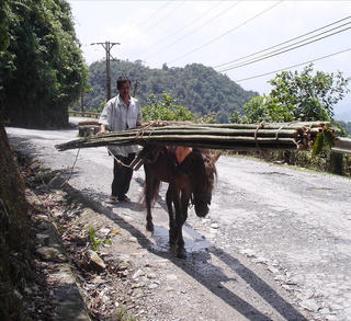 Đường cho dân