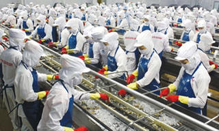 Lao động xuất khẩu sang Nhật không phải nộp tiền môi giới