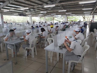 Lo bữa ăn cho công nhân trong mùa dịch