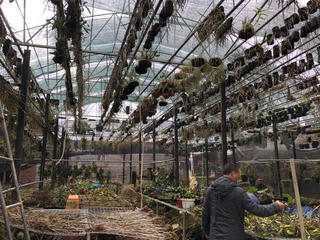 Chàng trai Nùng và mô hình lập nghiệp