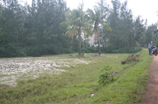 Đất rừng phòng hộ bất ngờ ‘chồng’ lên đất sản xuất