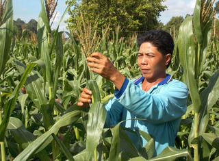 Nhị Trường đang chuyển mình