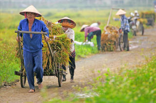Không thể 'độc lập tác chiến'