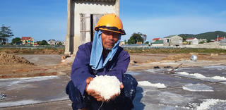 Những giọt mồ hôi mặn chát trên cánh đồng muối