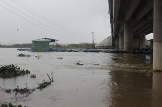 Quảng Nam: 40 lồng bè cá của người dân bị lũ cuốn trôi