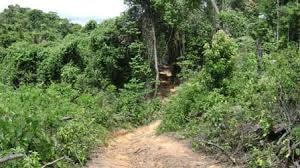 Chuyện ở buôn Kô Siêr