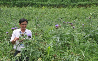 Cách làm mới ở Bắc Hà