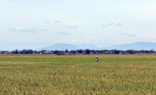 Vật tư, giống giả ‘bủa vây’ nông dân