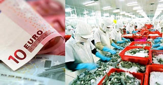 Vàng biến động, đồng Euro mất giá: Doanh nghiệp xuất khẩu điêu đứng