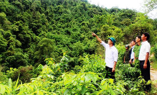 Cùng nhau giữ rừng