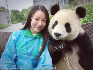 Gấu trúc gây ‘sốt’ vì biết tạo dáng selfie