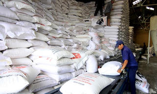 Thừa Thiên - Huế phân bổ 2.000 tấn gạo