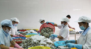 Xuất khẩu sang Mỹ vẫn gặp trở ngại