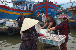 [ẢNH] Ngư dân trúng đậm mẻ cá hàng trăm triệu đồng