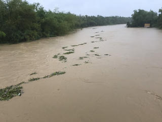 Cảnh báo lũ trên nhiều dòng sông