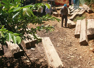 Lâm tặc lại tấn công bảo vệ rừng