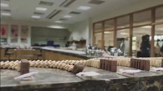 Hiệu ứng domino tuyệt đẹp từ 5.000 chiếc bánh quy