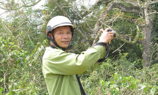 Gặp người bảo vệ loài Vọoc