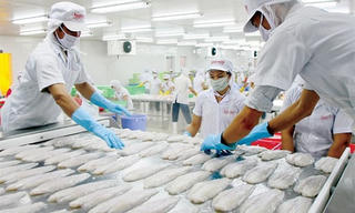 Sản xuất và xuất khẩu thủy sản tăng trưởng khá