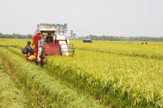 'Chắp cánh' cho nông nghiệp phát triển