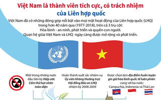 [Infographics] Việt Nam là thành viên tích cực, có trách nhiệm của LHQ