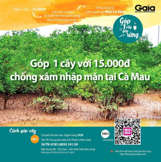 Cà Mau xác minh thông tin góp tiền trồng rừng