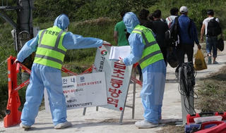 Hàn Quốc lần đầu phát hiện trường hợp nhiễm cúm gia cầm ở vịt