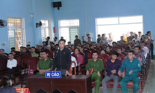 Lĩnh án 12 tháng cải tạo vì chặt 1 cây gỗ vàng kiêng