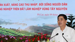 Ổn định đời sống để sản xuất nông nghiệp tại Tây Nguyên