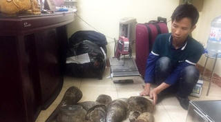 Bắt đối tượng cầm đầu đường dây buôn bán động vật hoang dã