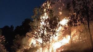 Hà Nội: Cháy lớn gần trường bắn Sóc Sơn