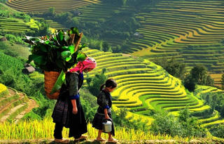 Một thoáng Mù Cang Chải