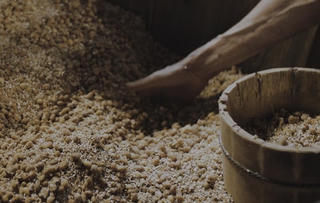 Có thể điều trị bệnh Parkinson bằng nấm mốc lên men xì dầu