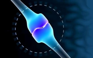 Phòng bệnh xương thủy tinh:Thử nghiệm tiêm tế bào gốc