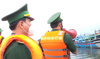 Bình Định: Theo dõi sát diễn biến và chủ động ứng phó bão số 6