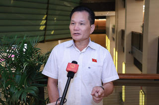 Nên trao quyền cho Chủ tịch đặc khu lựa chọn nhân sự