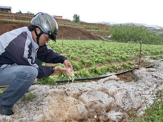 Chuyển dịch nông nghiệp thích ứng biến đổi khí hậu: Cần cơ chế đặc thù