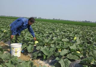 Gỡ khó trong xây dựng nông thôn mới