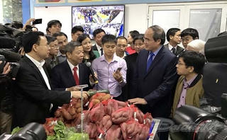 BẢN TIN MẶT TRẬN: Khai trương chuỗi siêu thị nông sản, thực phẩm an toàn Việt Nam