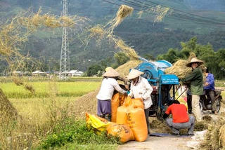 Thu hút dòng vốn ngoại vào nông nghiệp