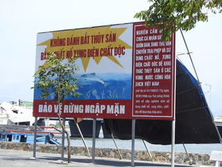 Nan giải tình trạng khai thác hủy diệt thủy sản